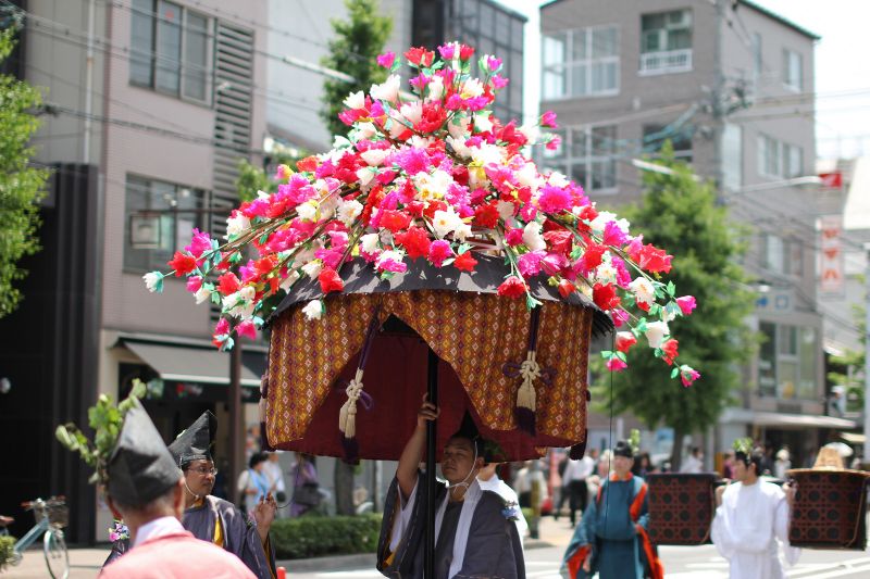 aoi matsuri